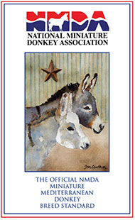 2011 Cover